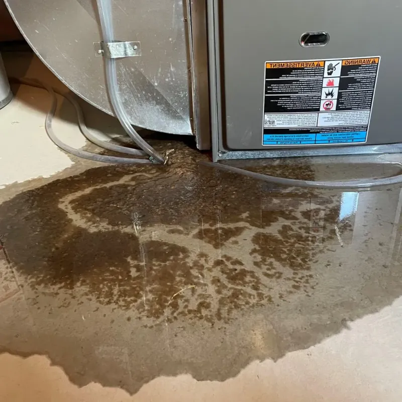 Pipe Burst and Leak Restoration in Richton Park, IL