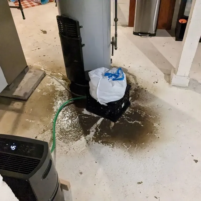 Sewage Backup Cleanup Service in Richton Park, IL